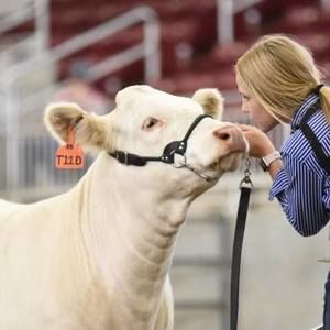 Meet your Posher, Luanne